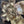 Load image into Gallery viewer, WallFlower: So Much
