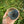 Load image into Gallery viewer, Cocktail Sipper
