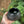 Load image into Gallery viewer, Textured Moon Vase - small
